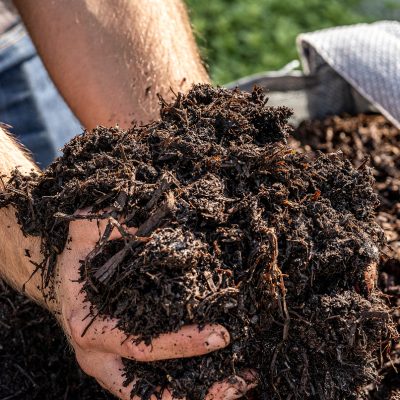 Gardens 31.07.24-1 33 (11)