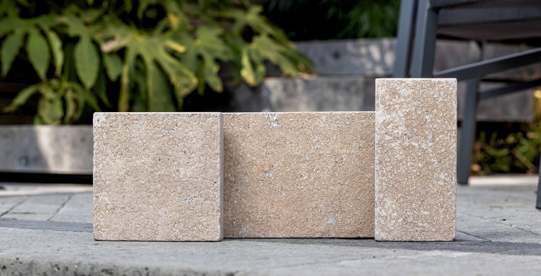 Gardens 31.07.24-1 33 (18)