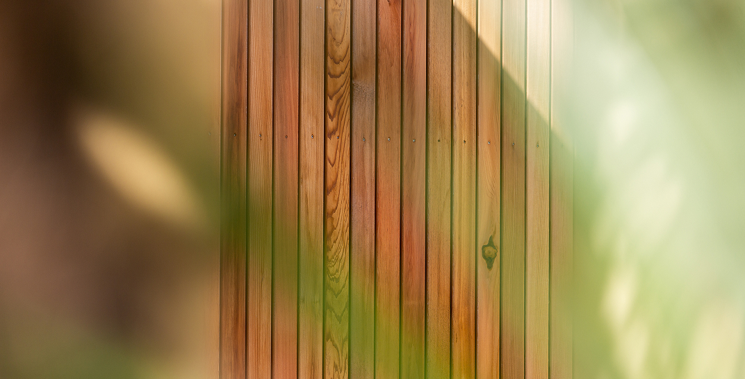 Gardens 31.07.24-1 33 (20)