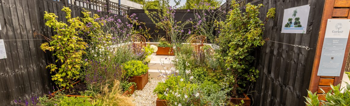 Gardens 31.07.24-1 33 (23)