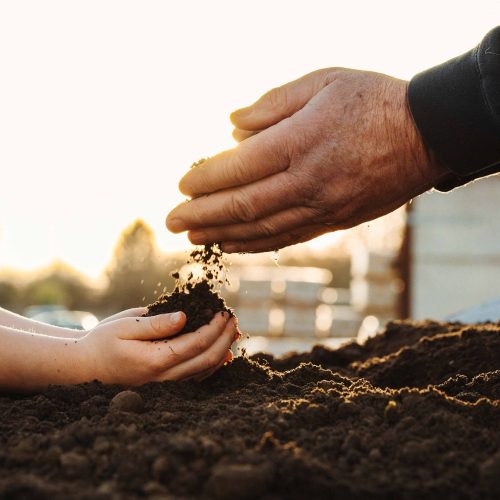 Gardens-31.07.24-1-33