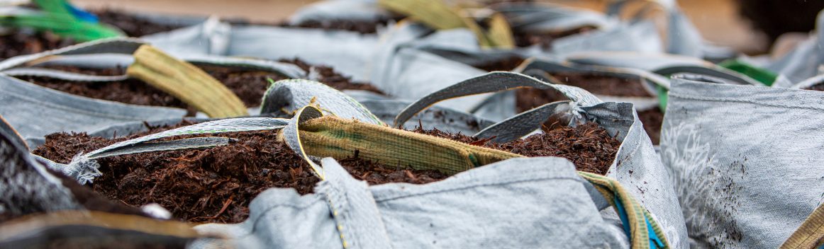 Gardens 31.07.24-1 33 (6)