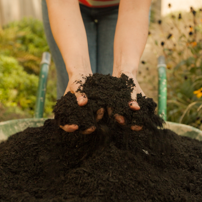 Gardens 31.07.24-1 33 (7)