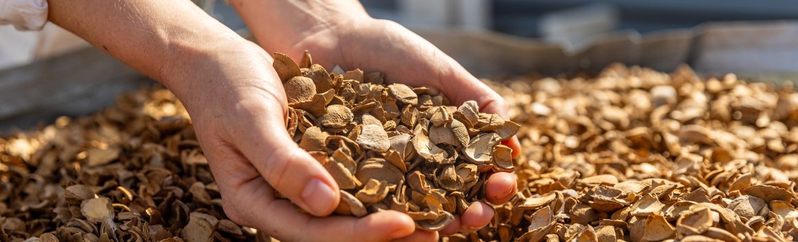 Gardens 31.07.24-1 33 (9)