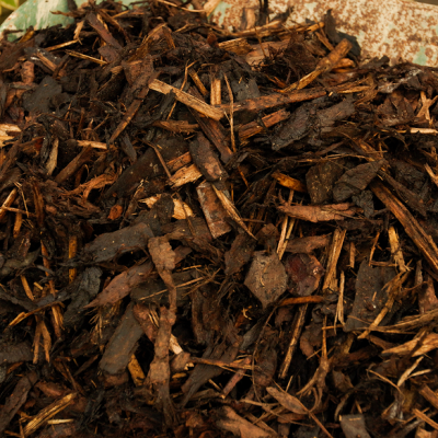 Gardens 31.07.24-1 34 (1)