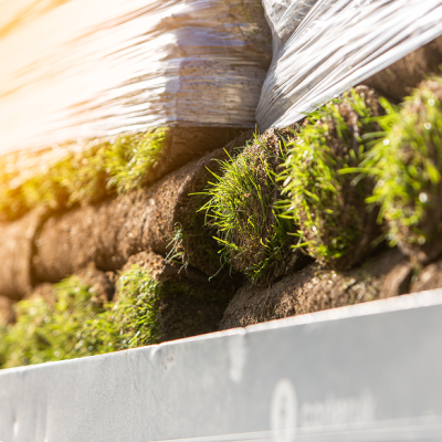 Gardens 31.07.24-1 34 (2)