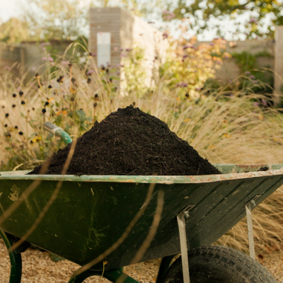 Gardens 31.07.24-1 34