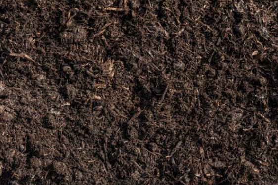 Mushroom compost 2